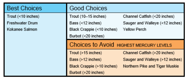 Fish consumption advice