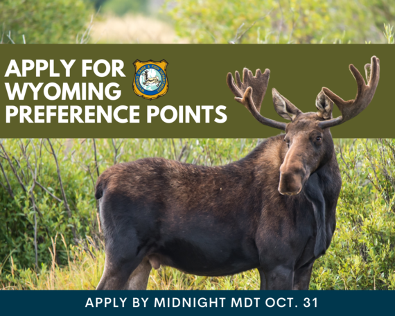 Apply for WY preference points