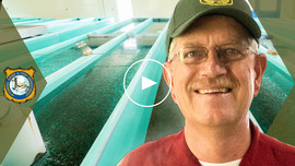 Clarks Fork Hatchery