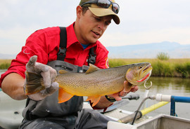 Flat Creek sampling 