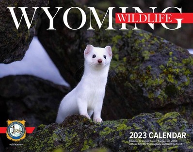 Wyoming Wildlife Magazine