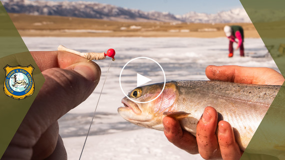 Ice fishing for beginners 