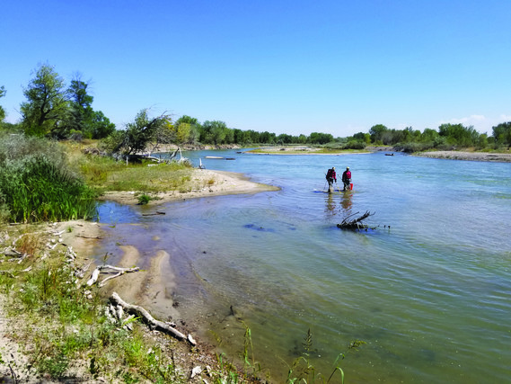 Small fish, big rivers