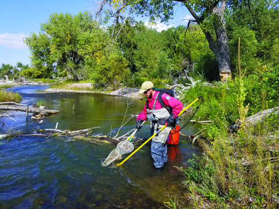 Small Fish, Big Rivers