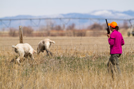 Youth conservationist of the year