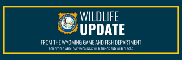 WILDLIFE UPDATE