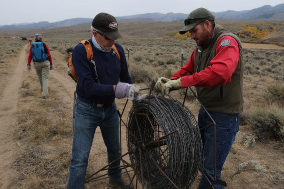 Wildlife-friendly fencing 