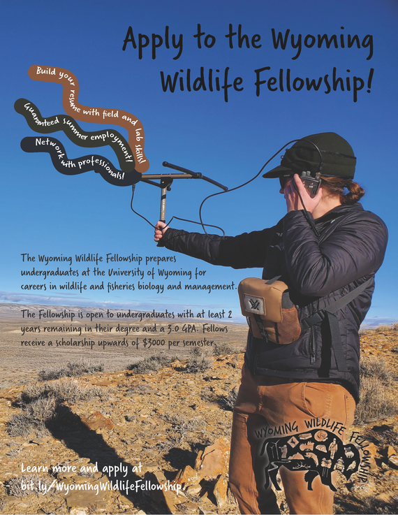 Apply to the WY Wildlife Fellowship