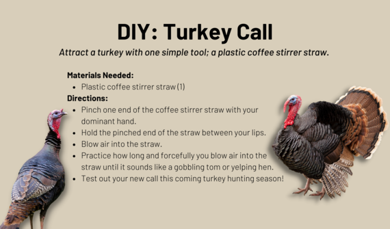 DIY turkey call