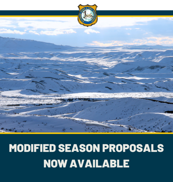 Wildlife managers update hunting seasons proposals in response to winter impacts