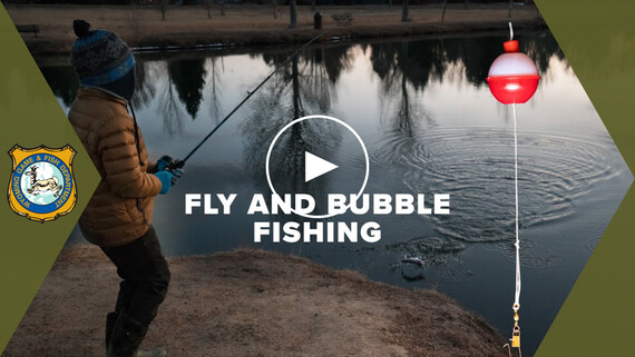 Fly and bubble fishing video