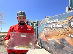 Fish return to Saratoga Lake