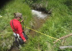 Game and Fish proposes two instream flow water rights to protect native trout