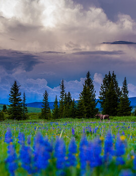 storm rolling in