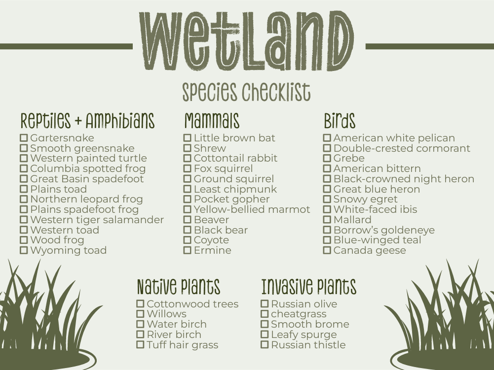 Wetland