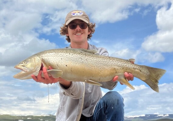 Tiger trout record