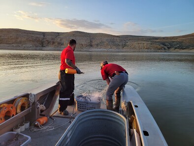 Managing the fishery at FGR