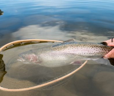 Fishing in the heat 