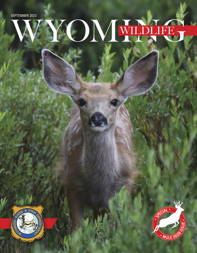 Wyoming Wildlife magazine 