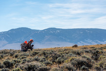 Hunting in Wyoming