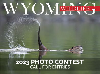 2024 Photo Contest 