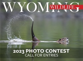 WW photo contest now open