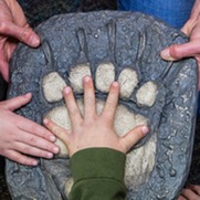 Conservation education coming to WY schools