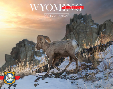 Wyoming Wildlife calendar