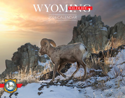 2024 Wyoming Wildlife calendar cover