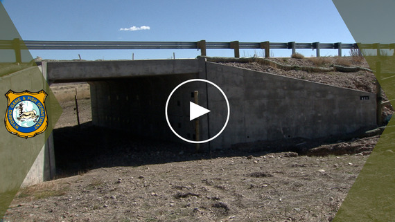 Completed Dry Piney wildlife highway underpass