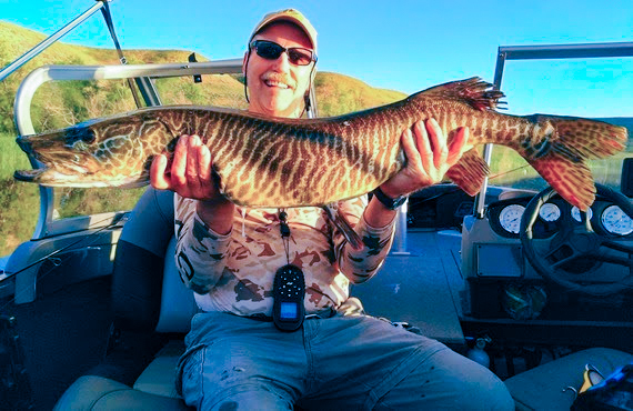 Angler holding a tiger trout