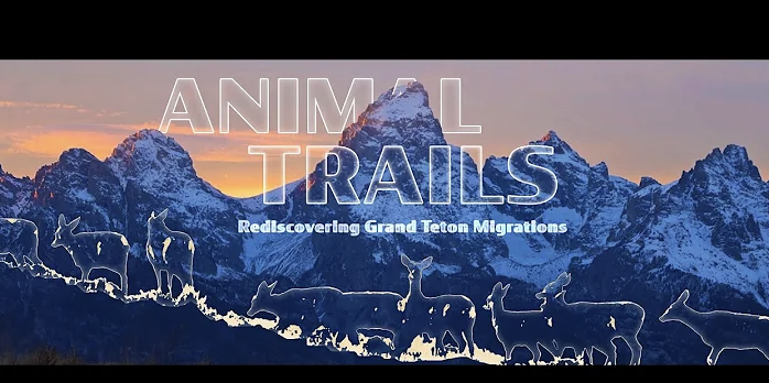 Wyoming migration initiative video