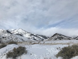 Sunlight Basin WHMA covered in snow