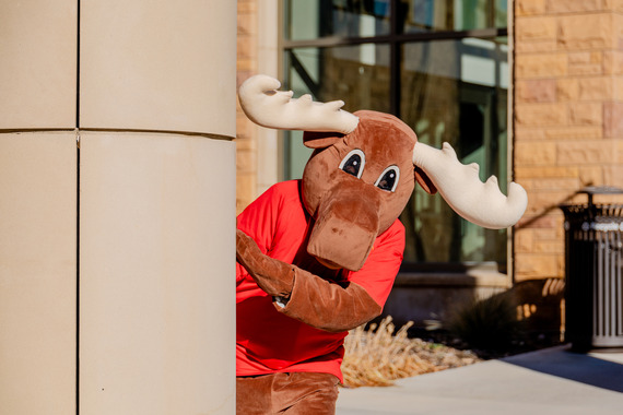 Moose mascot peering around a pillar