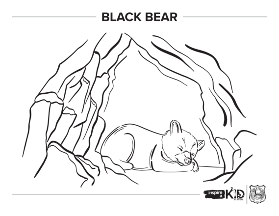 Hibernating bear coloring page