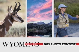 Wyoming Wildlife photo contest