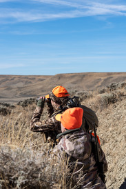 Elk hunters set record 