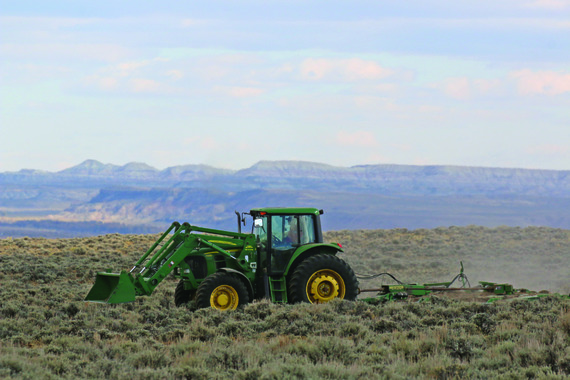 Game and Fish personnel drive a tractor in sage brush habitat