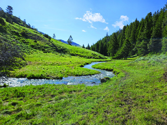 Sullivan Creek at Ellis Wildlife Habitat Management Area