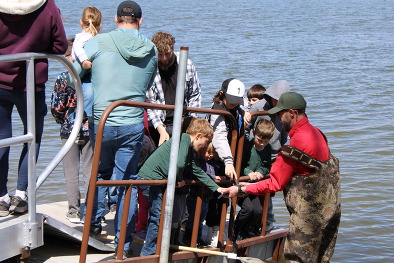 Cat fish stocking