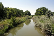 Stream running through a WHMA