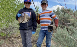 Rendevous Ponds Clean-up Day