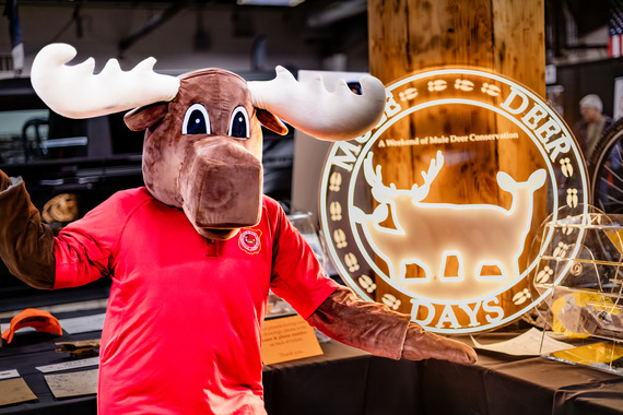 Mardy the moose with the Mule Deer Days logo