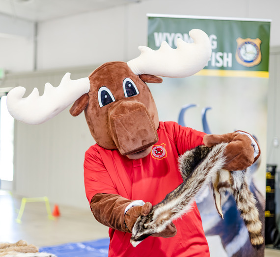 Mardy the Moose with an animal pelt