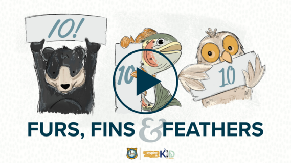 Furs, Fins and Feathers podcast link