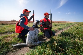 Youth hunters and dog on a pheasant hunt