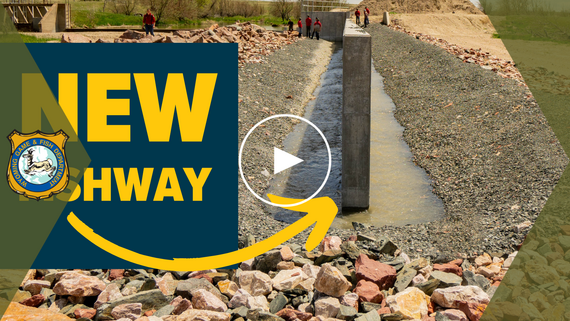 New fishway video thumbnail