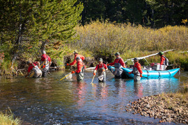 Group of Game and Fish biologists electrofishing in river