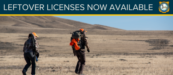 Leftover licenses now available