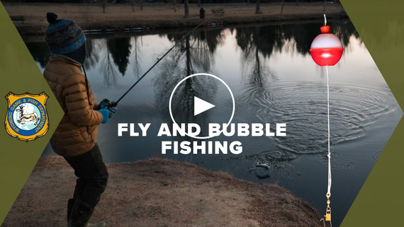 Fly and bubble fishing YouTube video